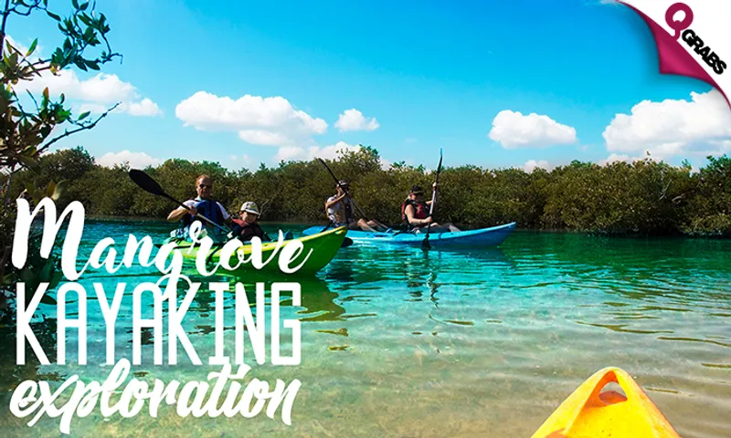 Mangrove Exploration Tour!